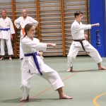 Božičnica Shinkai Club