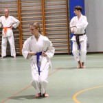 Božičnica Shinkai Club