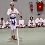 Božičnica Shinkai Club