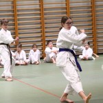 Božičnica Shinkai Club
