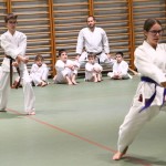 Božičnica Shinkai Club