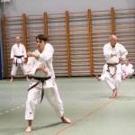 Božičnica Shinkai Club