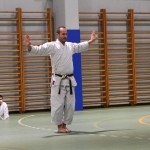 Božičnica Shinkai Club