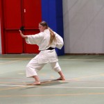 Božičnica Shinkai Club