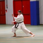 Božičnica Shinkai Club