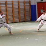 Božičnica Shinkai Club