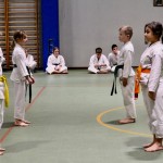 Božičnica Shinkai Club