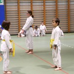 Božičnica Shinkai Club