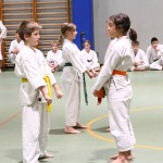 Božičnica Shinkai Club