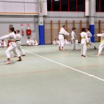 Božičnica Shinkai Club