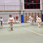 Božičnica Shinkai Club