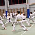 Božičnica Shinkai Club