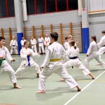 Božičnica Shinkai Club