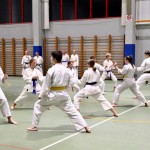 Božičnica Shinkai Club
