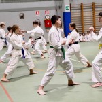 Božičnica Shinkai Club