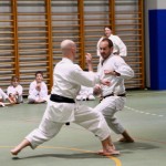 Božičnica Shinkai Club