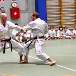 Božičnica Shinkai Club