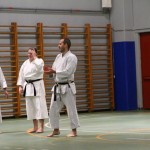 Božičnica Shinkai Club
