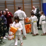 Božičnica Shinkai Club