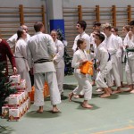 Božičnica Shinkai Club