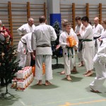 Božičnica Shinkai Club