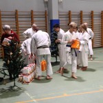 Božičnica Shinkai Club