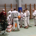Božičnica Shinkai Club