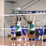 Odbojka U 18 : Zalet Kontovel - Altura