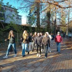 novi sad sloga 2024-07