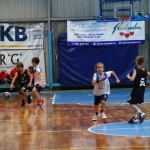 Festival Minibasket Trst