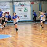 Festival Minibasket Trst