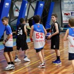 Festival Minibasket Trst