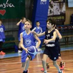 Festival Minibasket Trst