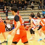 Košarka Meddeželna B liga : Jadran - San Bonifacio