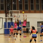 U16 Mavrica Glasmik-Alpe Adria Immobiliare