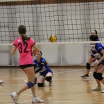 U16 Mavrica Glasmik-Alpe Adria Immobiliare