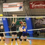 Odbojka U 16 Ž. : Bor -Eurovolleyschool