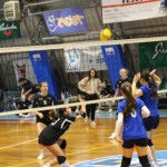 Odbojka U 16 Ž. : Bor -Eurovolleyschool
