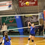 Odbojka U 16 Ž. : Bor -Eurovolleyschool