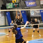 Odbojka U 16 Ž. : Bor -Eurovolleyschool