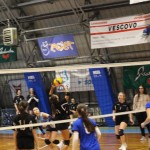 Odbojka U 16 Ž. : Bor -Eurovolleyschool