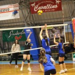 Odbojka U 16 Ž. : Bor -Eurovolleyschool