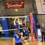 Odbojka U 16 Ž. : Bor -Eurovolleyschool