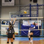 Odbojka U 16 Ž. : Bor -Eurovolleyschool