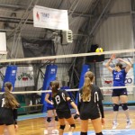 Odbojka U 16 Ž. : Bor -Eurovolleyschool