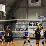 Odbojka U 16 Ž. : Bor -Eurovolleyschool
