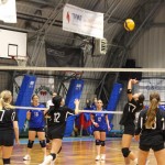 Odbojka U 16 Ž. : Bor -Eurovolleyschool