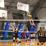 Odbojka U 16 Ž. : Bor -Eurovolleyschool