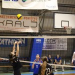 Odbojka U 16 Ž. : Bor -Eurovolleyschool