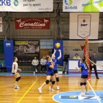 Odbojka U 16 Ž. : Bor -Eurovolleyschool